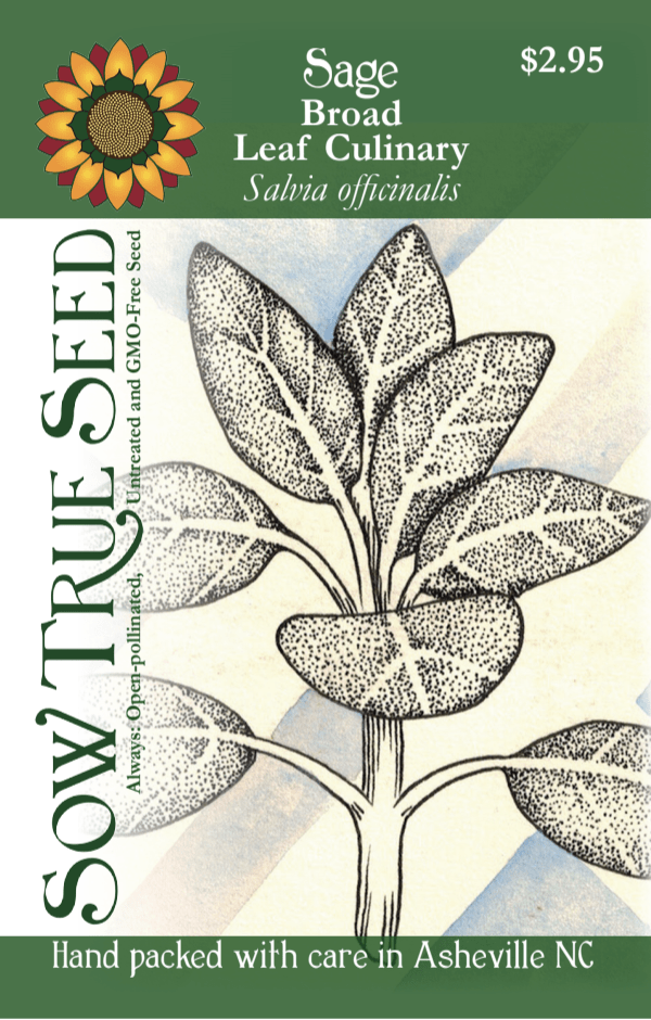Sage Seeds, Broad Leaf Culinary