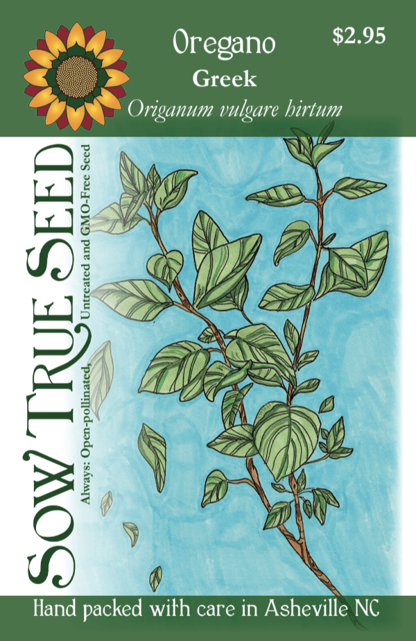 Oregano Seeds, Greek