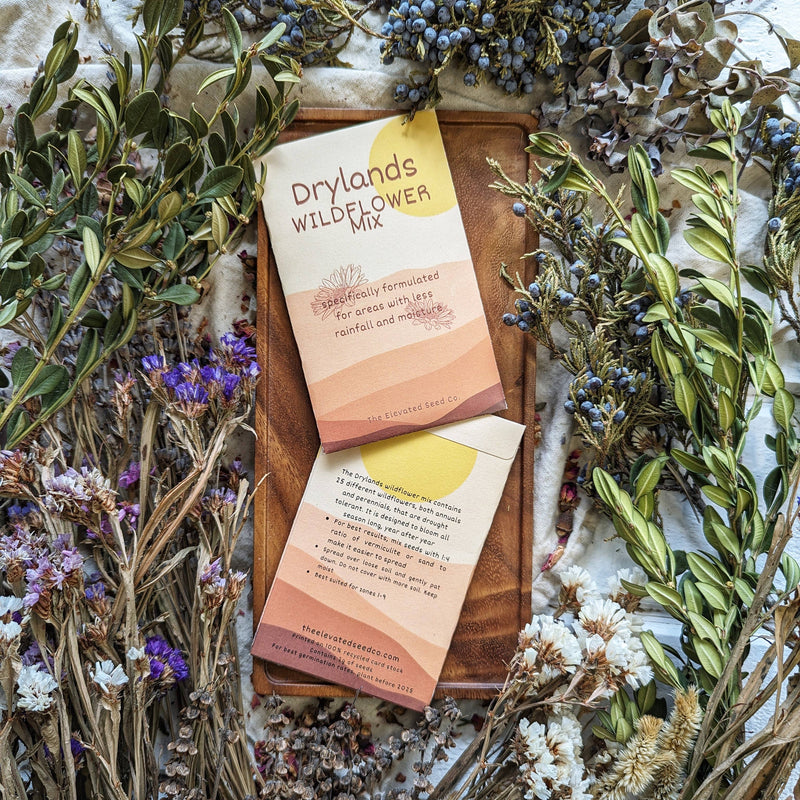 Wildflower Garden Seed Mix- Drylands