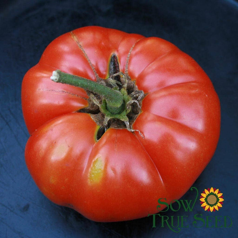 Slicing Tomato Seeds - Pink Brandywine