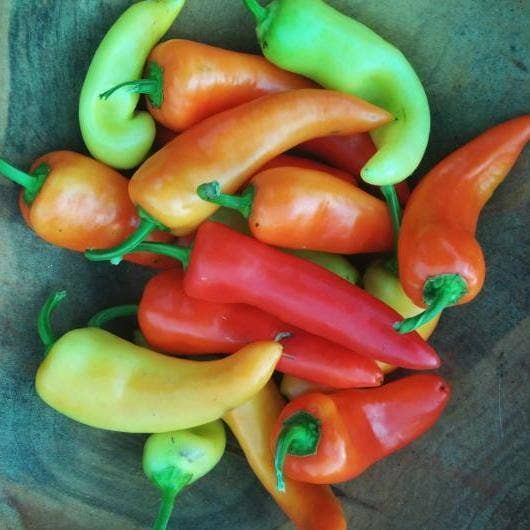 Sweet Pepper Seeds - Sweet Banana