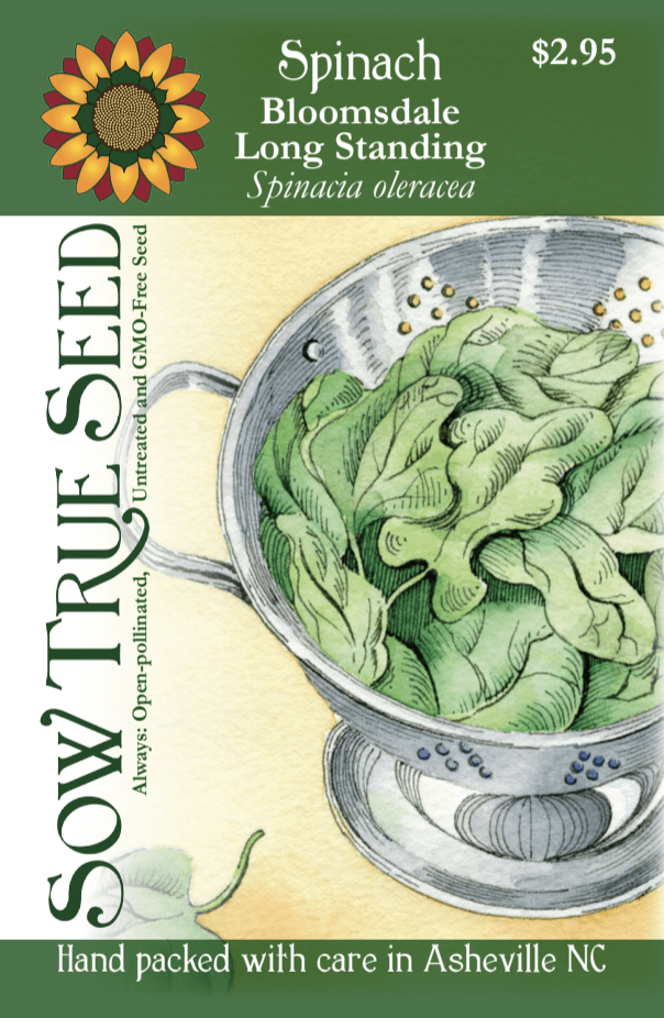 Spinach Seeds - Bloomsdale Long Standing
