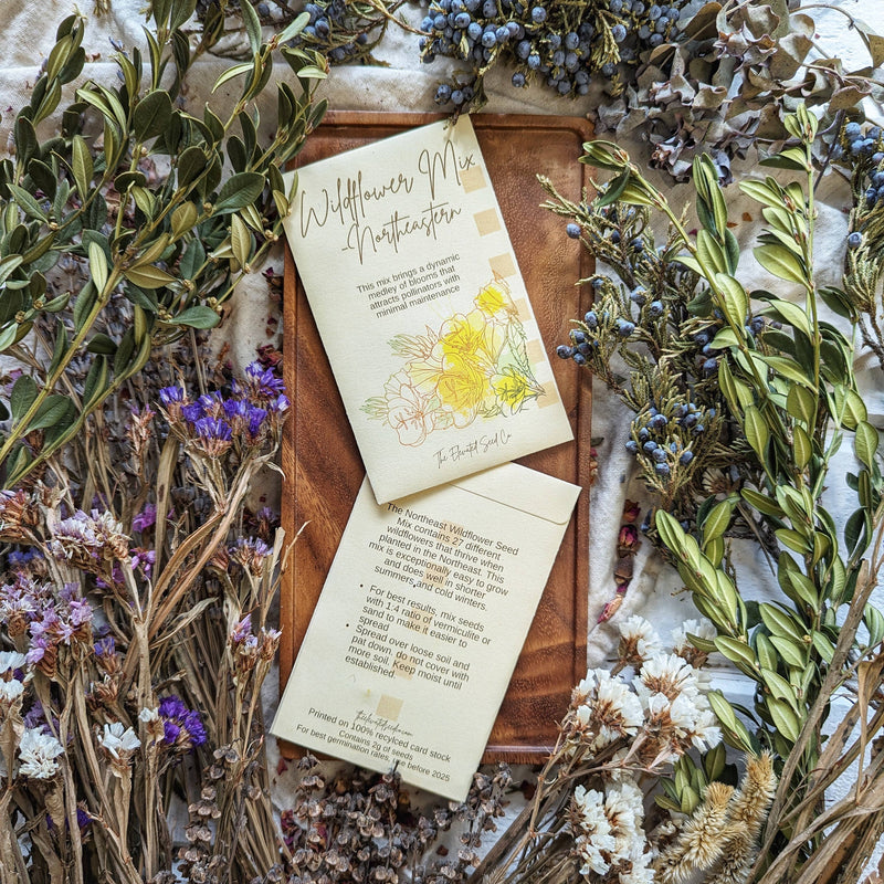 Wildflower Garden Seed Mix- Northeastern