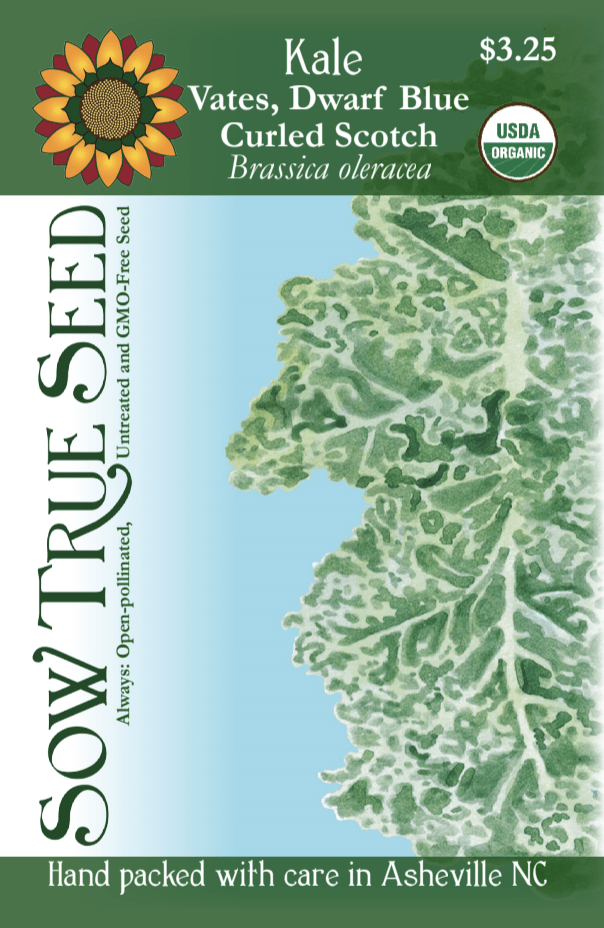 Kale Seeds - Vates, Dwarf Blue Curled Scotch