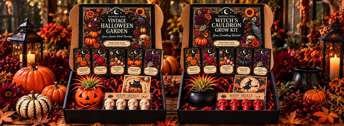 Curated Garden Gift Boxes