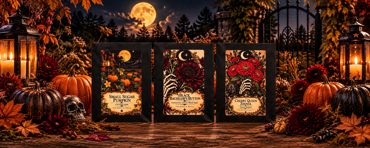 Collector Seed Packets
