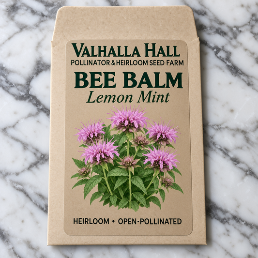 Valhalla Hall lemon mint bee balm seed packet, kraft paper with an illustration of lavender-pink whorled flowers