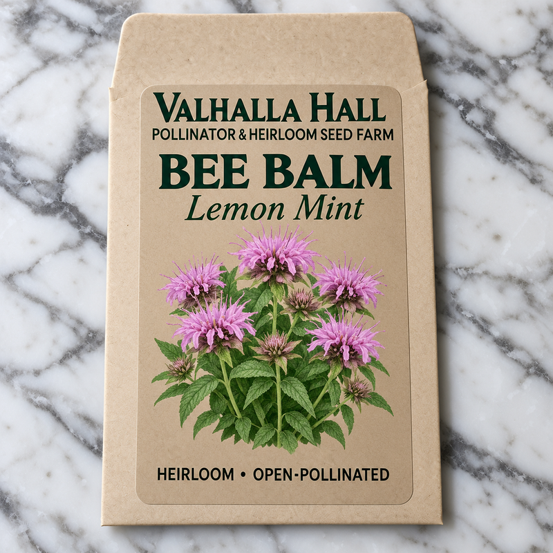 Valhalla Hall lemon mint bee balm seed packet, kraft paper with an illustration of lavender-pink whorled flowers