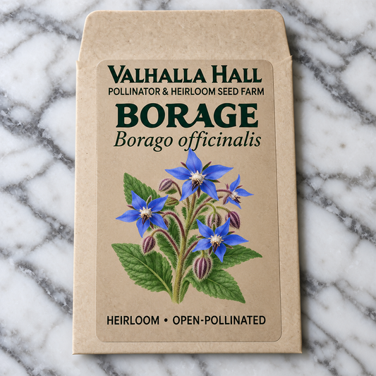 Valhalla Hall borage seed packet, kraft paper with an illustration of blue star-shaped borage flowers