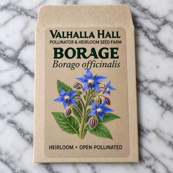 Valhalla Hall borage seed packet, kraft paper with an illustration of blue star-shaped borage flowers