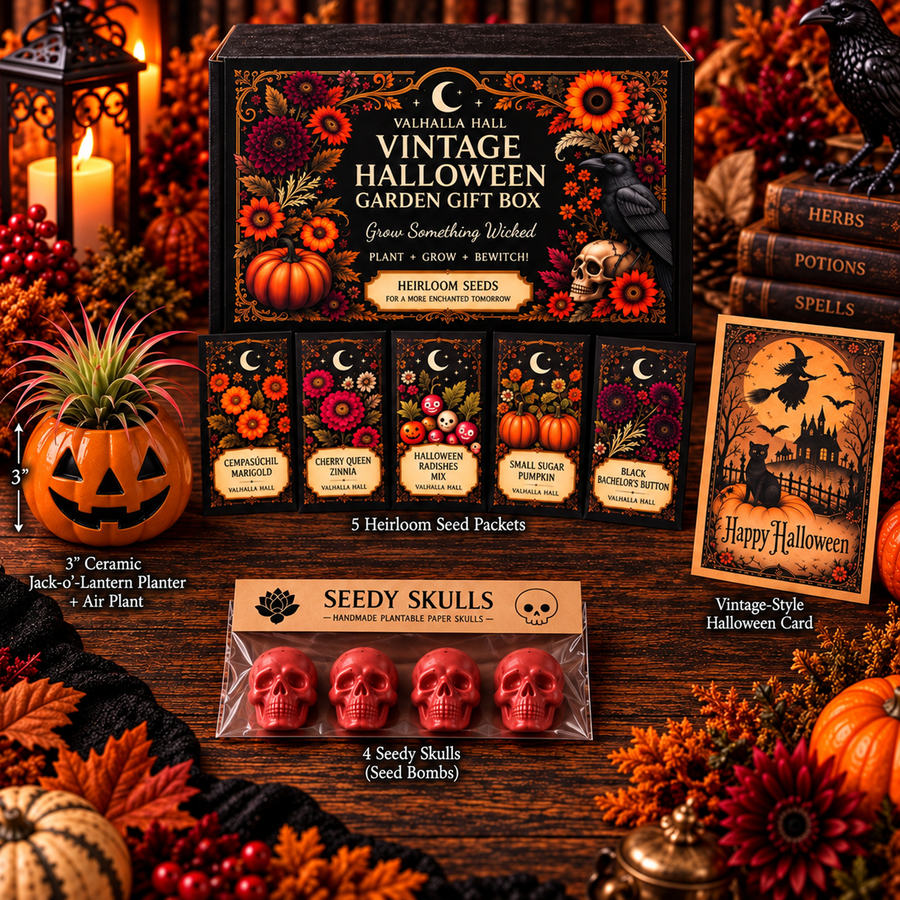The Valhalla Hall Vintage Halloween Garden Gift Box, an open black gift box with five illustrated heirloom seed packets, a 3 inch ceramic jack-o'-lantern planter holding a live air plant, a vintage-style Halloween card and four red plantable Seedy Skulls