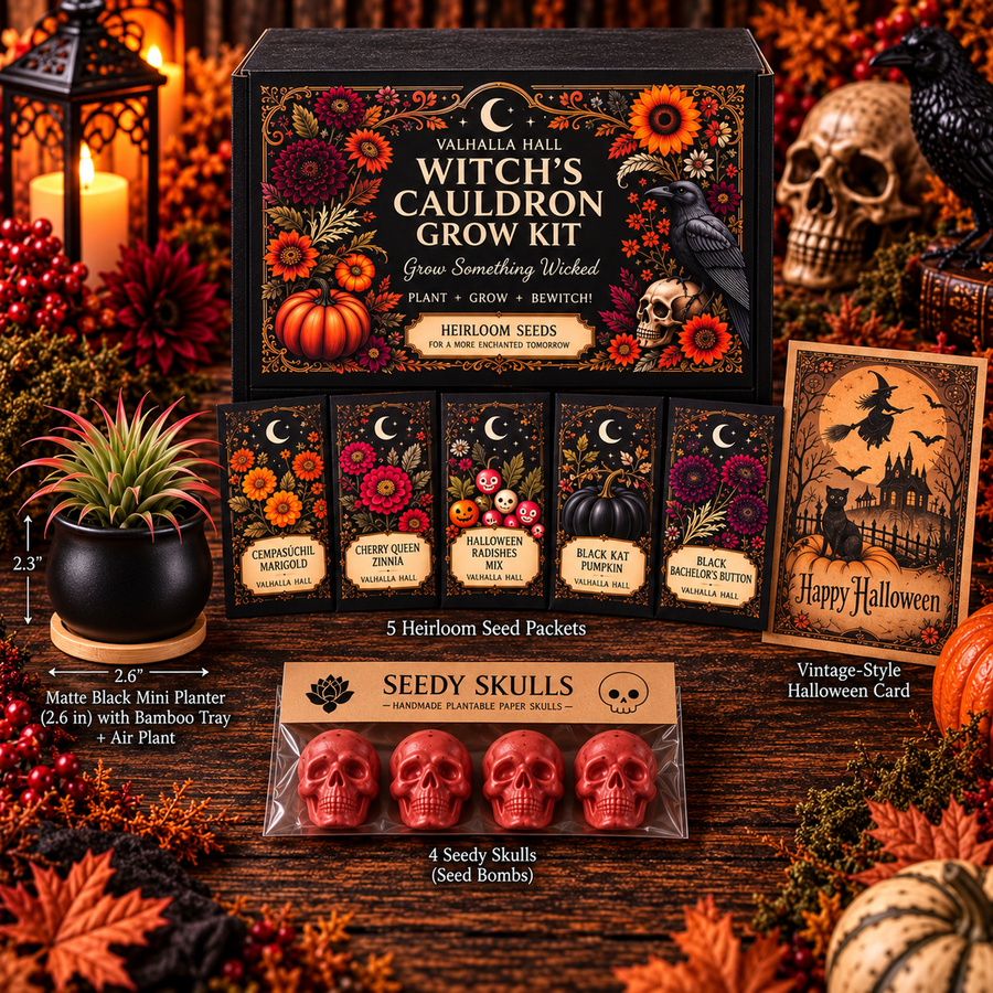 The Valhalla Hall Witch's Cauldron Grow Kit, an open black gift box with five illustrated heirloom seed packets, a matte black cauldron planter on a bamboo tray holding a live air plant, a Happy Halloween card and four black plantable Seedy Skulls