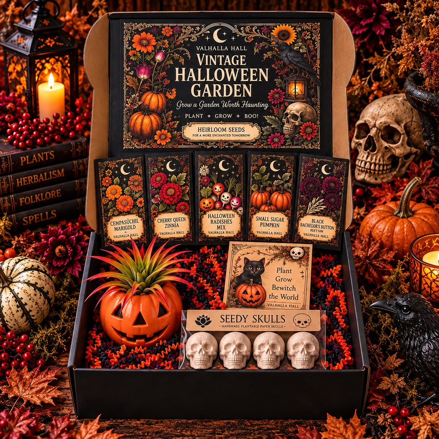 Vintage Halloween Garden Gift Box open on an autumn table, showing five illustrated Valhalla Hall seed packets, a jack-o'-lantern planter holding a live air plant, four white Seedy Skull seed bombs and a black cat Halloween card, styled with pumpkins, skulls, candlelight and dried fall foliage