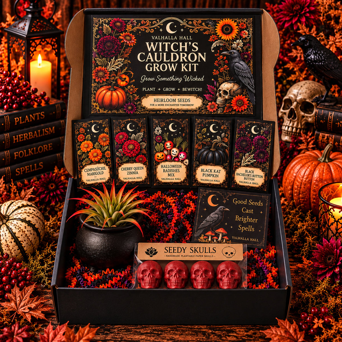 Witch's Cauldron Halloween Grow Kit open on an autumn table, showing five illustrated Valhalla Hall seed packets including Black Kat Pumpkin, a black cauldron planter holding a live air plant, four red Seedy Skull seed bombs and a raven Halloween card, styled with pumpkins, skulls, candlelight and dried fall foliage