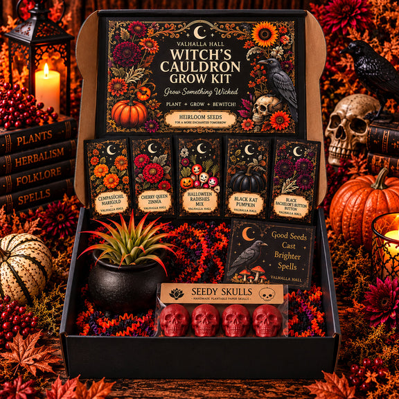 Witch's Cauldron Halloween Grow Kit open on an autumn table, showing five illustrated Valhalla Hall seed packets including Black Kat Pumpkin, a black cauldron planter holding a live air plant, four red Seedy Skull seed bombs and a raven Halloween card, styled with pumpkins, skulls, candlelight and dried fall foliage