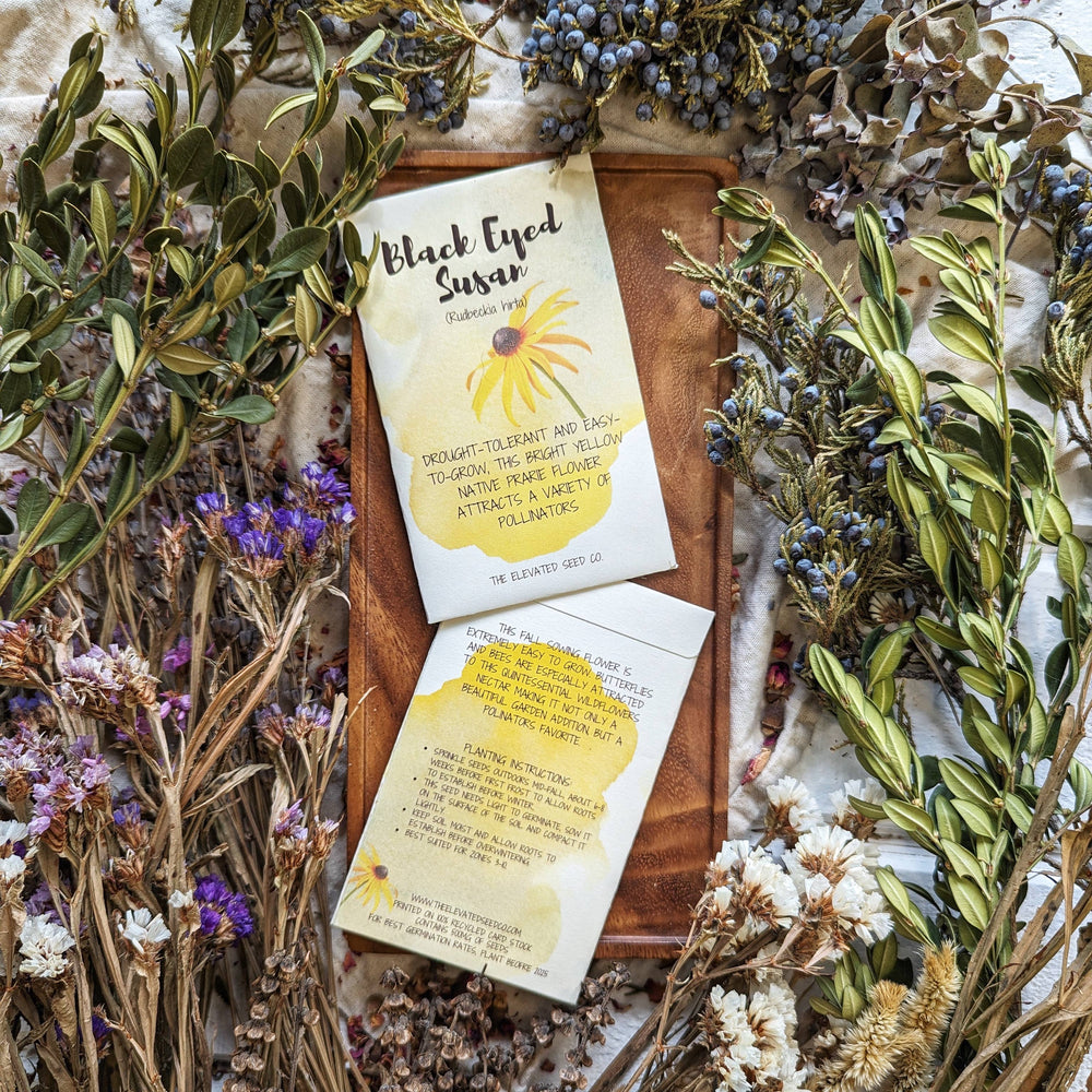 Black‑Eyed Susan wildflower seed packet from Valhalla Hall Farm