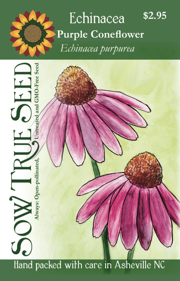 echinacea herb seeds Echinacea Seeds