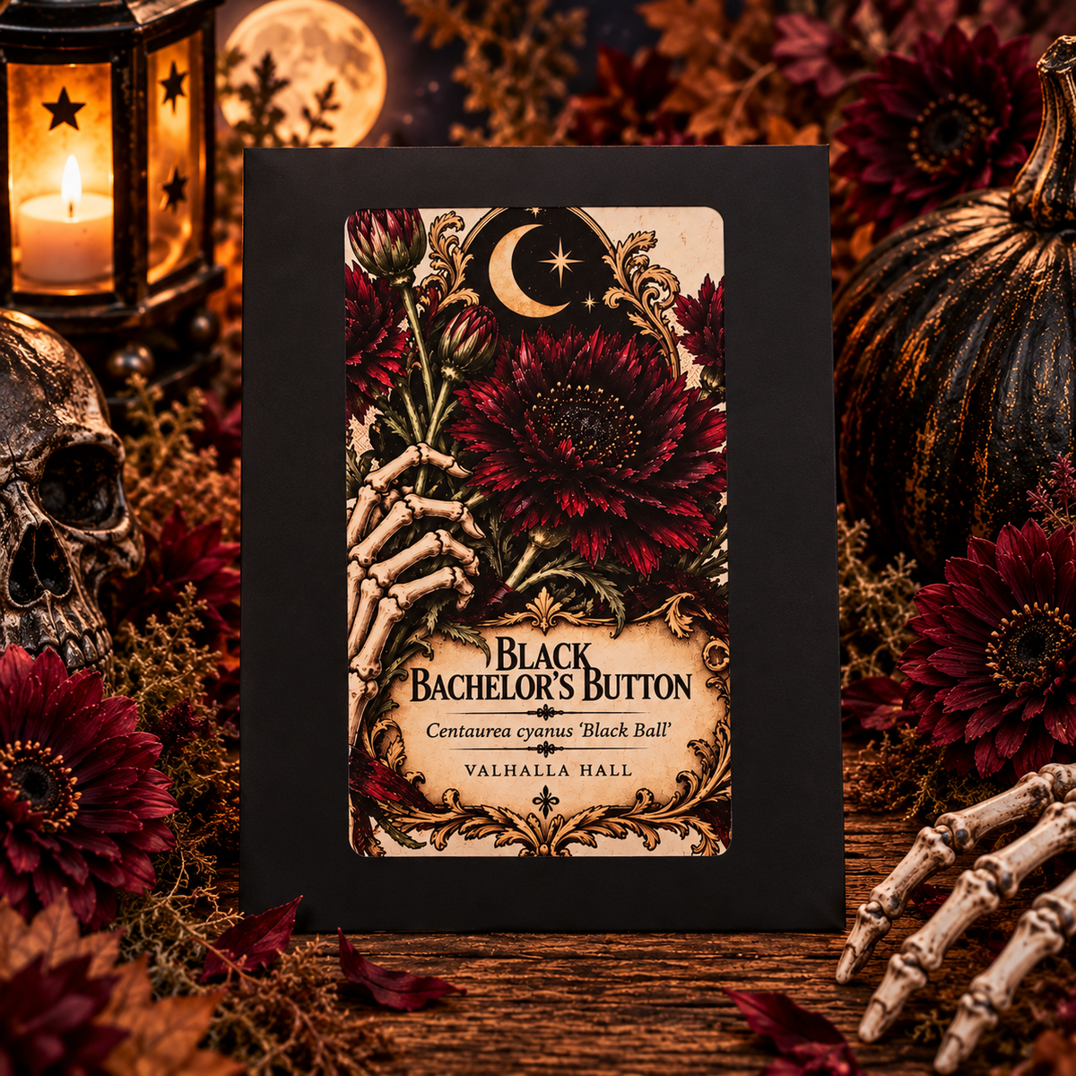 The Valhalla Hall Black Bachelor's Button seed packet, a black envelope with an ornate illustrated label of deep burgundy near-black cornflowers held in a skeleton hand beneath a crescent moon, naming Centaurea cyanus 'Black Ball', photographed among burgundy blooms, a skull, a dark pumpkin and candlelight