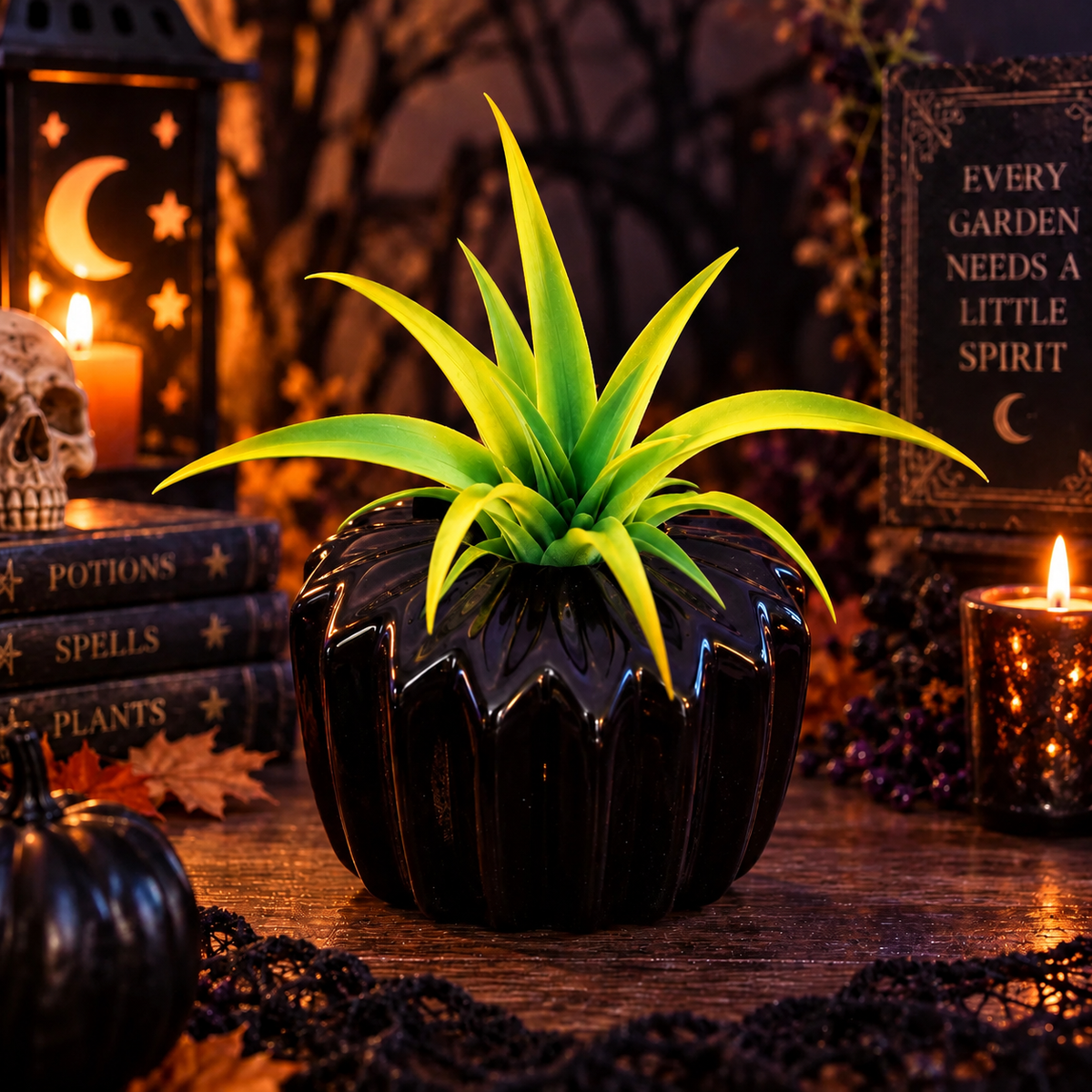 The Valhalla Hall Gothic Black air plant — a glossy black ceramic planter with a deeply fluted body and scalloped rim, holding a live air plant with bright yellow-green leaves, on dark wood beside a crescent moon lantern, a skull, a black pumpkin and books titled Potions, Spells and Plants, under a sign reading Every Garden Needs a Little Spirit