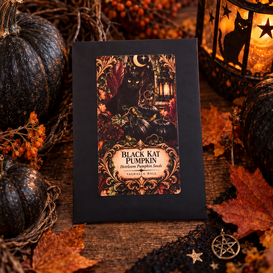 The Valhalla Hall Black Kat Pumpkin seed packet, a black envelope with an ornate illustrated label showing a black cat beside a lit lantern and dark ribbed pumpkins under a crescent moon, photographed on weathered wood among charcoal-black pumpkins, autumn leaves and candlelight
