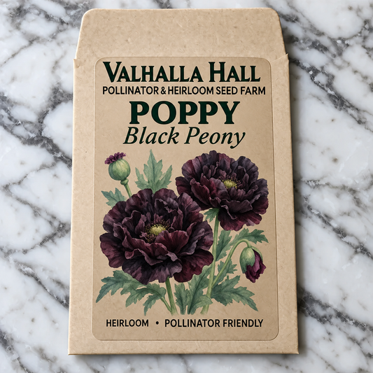 Black Peony Poppy Seeds | Papaver somniferum var. paeoniflorum | Deep Burgundy Double Poppy for Goth & Cottage Gardens
