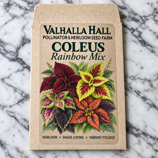 Coleus Seeds - Rainbow Mix | Burgundy, Crimson & Near-Black Patterned Foliage | Goth Garden & Shade Border Seeds