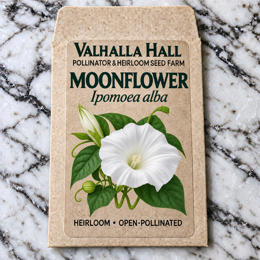 Valhalla Hall moonflower seed packet, kraft paper with an illustration of a white trumpet-shaped moonflower bloom and heart-shaped leaves