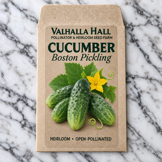 Valhalla Hall Boston Pickling cucumber seed packet, kraft paper with an illustration of short green pickling cucumbers and a yellow blossom