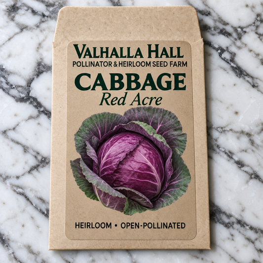Valhalla Hall Red Acre cabbage seed packet, kraft paper with an illustration of a deep purple-red cabbage head