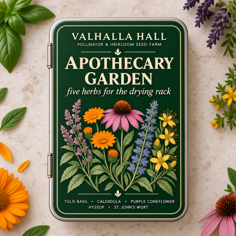 Valhalla Hall Apothecary Garden seed gift tin, deep green lid with a botanical illustration of tulsi, calendula, coneflower, hyssop and St. John's wort