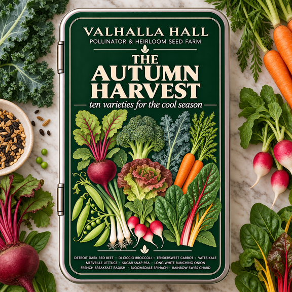Valhalla Hall Autumn Harvest seed gift tin, deep green lid with a botanical illustration of beet, broccoli, carrot, kale, radish and chard