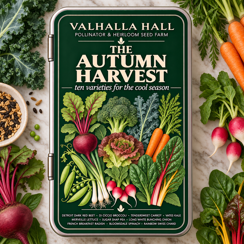 Valhalla Hall Autumn Harvest seed gift tin, deep green lid with a botanical illustration of beet, broccoli, carrot, kale, radish and chard