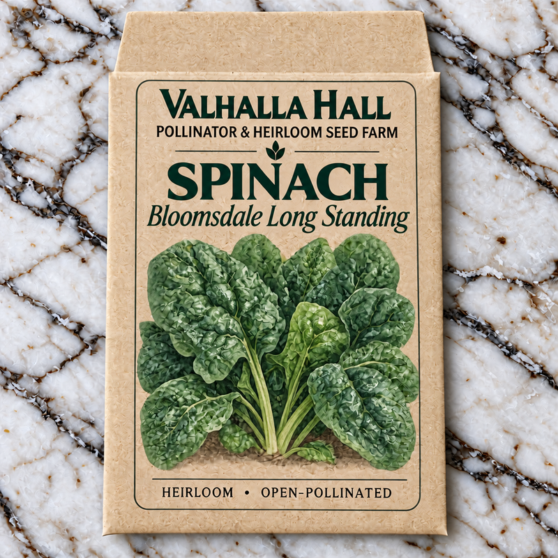Valhalla Hall Bloomsdale Long Standing spinach seed packet, kraft paper with an illustration of a rosette of dark crinkled spinach leaves