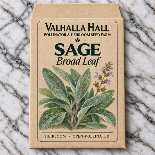 Valhalla Hall Broad Leaf sage seed packet, kraft paper with an illustration of silvery-green sage leaves and lavender flower spikes