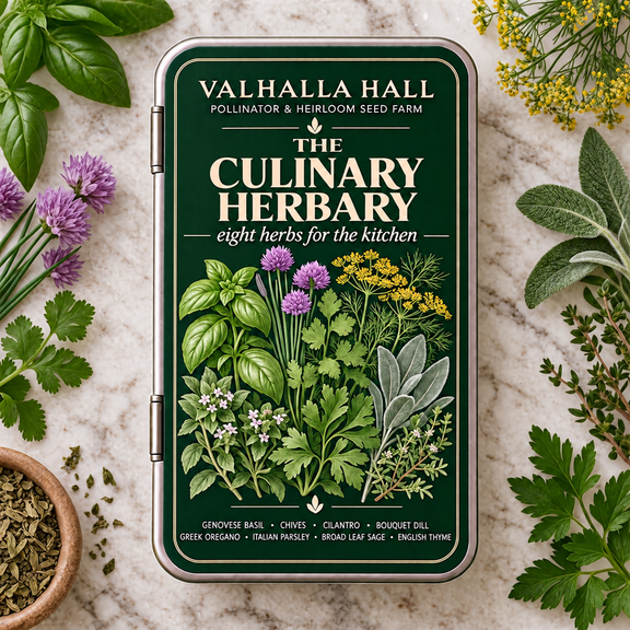 Valhalla Hall Culinary Herbary seed gift tin, deep green lid with a botanical illustration of basil, chives, parsley, dill and sage