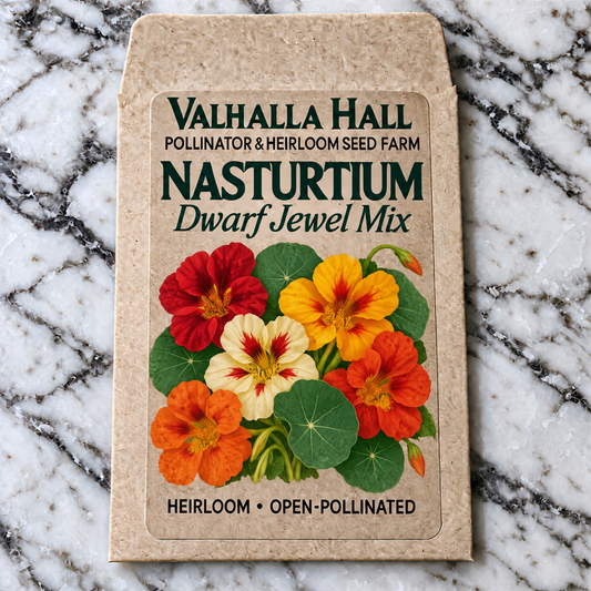 Valhalla Hall Dwarf Jewel Mix nasturtium seed packet, kraft paper with an illustration of red, orange, yellow and cream nasturtium flowers with round leaves
