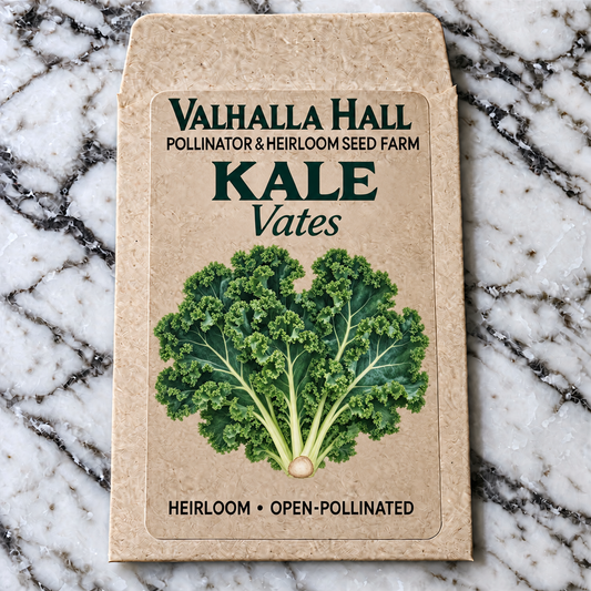 Valhalla Hall Vates kale seed packet, kraft paper with an illustration of a rosette of tightly curled blue-green kale leaves
