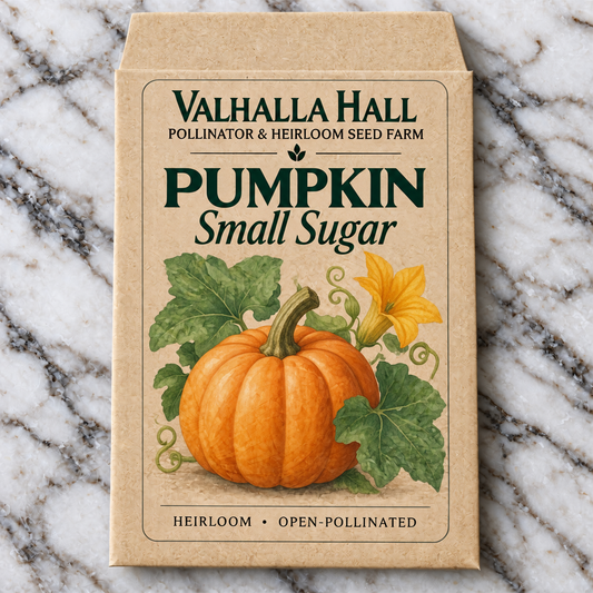 Valhalla Hall Small Sugar pumpkin seed packet, kraft paper with an illustration of a round orange pie pumpkin with vine, leaves and blossom