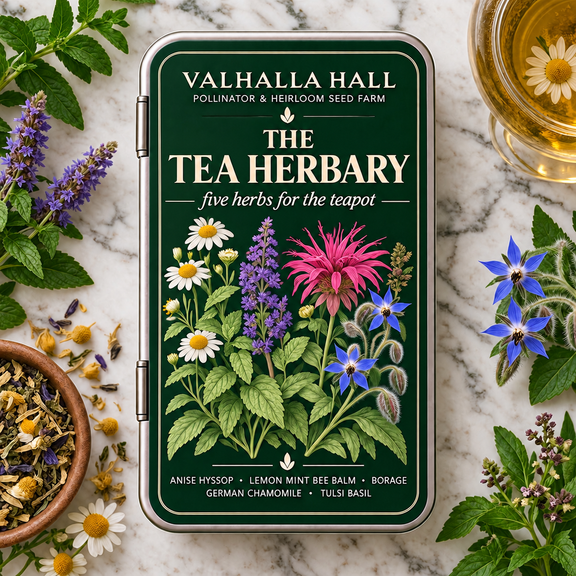 Valhalla Hall Tea Herbary seed gift tin, deep green lid with a botanical illustration of chamomile, bee balm, borage, hyssop and tulsi basil