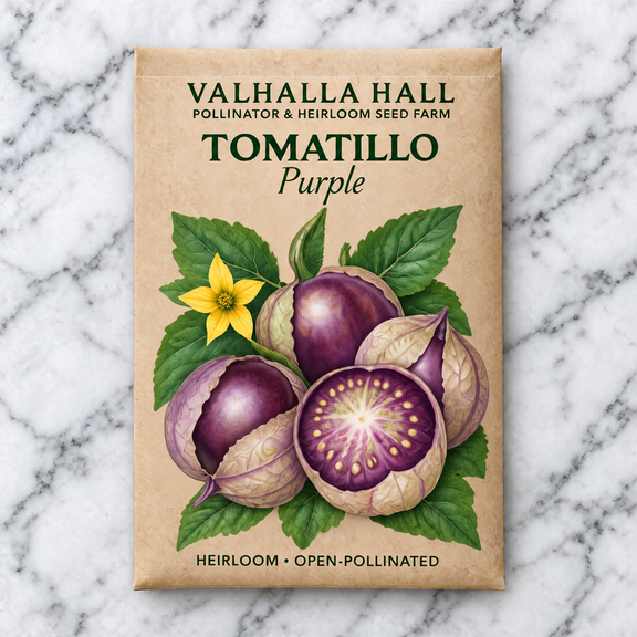 Valhalla Hall Purple tomatillo seed packet, kraft paper with an illustration of purple tomatillos in split papery husks with a yellow flower