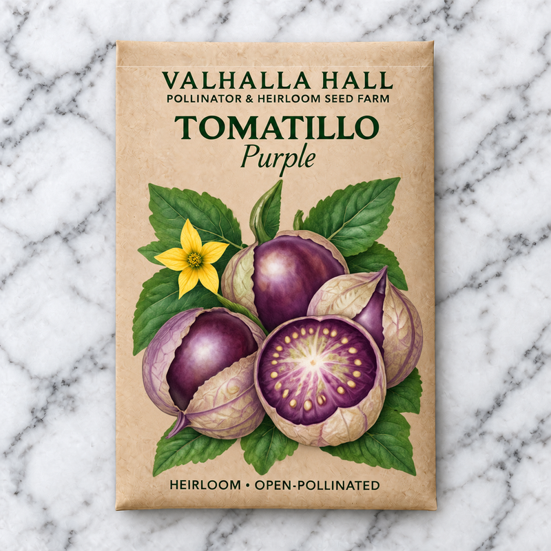 Valhalla Hall Purple tomatillo seed packet, kraft paper with an illustration of purple tomatillos in split papery husks with a yellow flower
