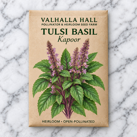 Valhalla Hall Kapoor tulsi basil seed packet, kraft paper with an illustration of green basil leaves on purple stems with lavender flower spikes