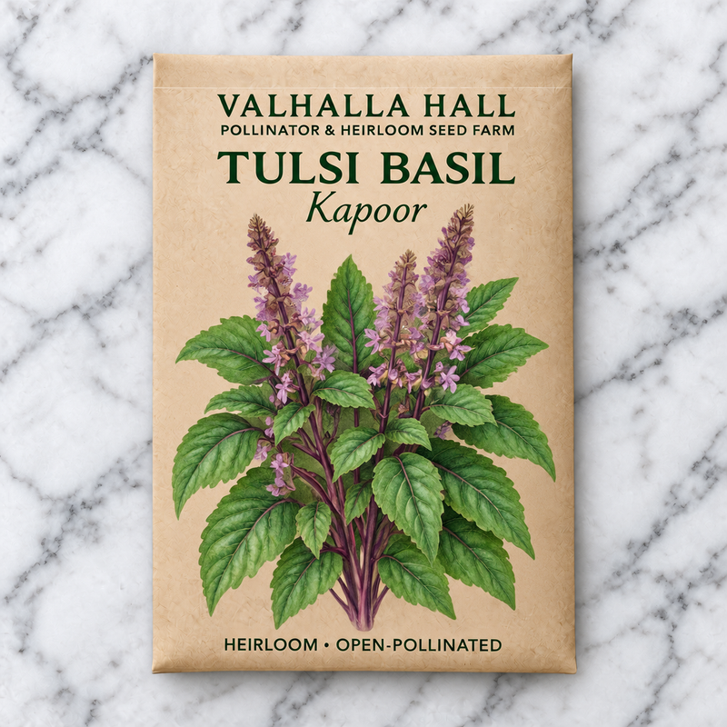 Valhalla Hall Kapoor tulsi basil seed packet, kraft paper with an illustration of green basil leaves on purple stems with lavender flower spikes