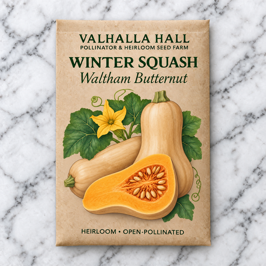 Valhalla Hall Waltham Butternut winter squash seed packet, kraft paper with an illustration of tan butternut squash, one cut to show orange flesh